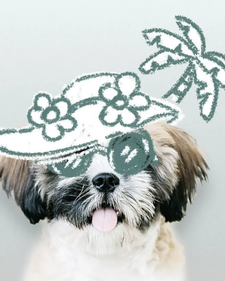 11 orbit social totally digital marketing | Totally Digital