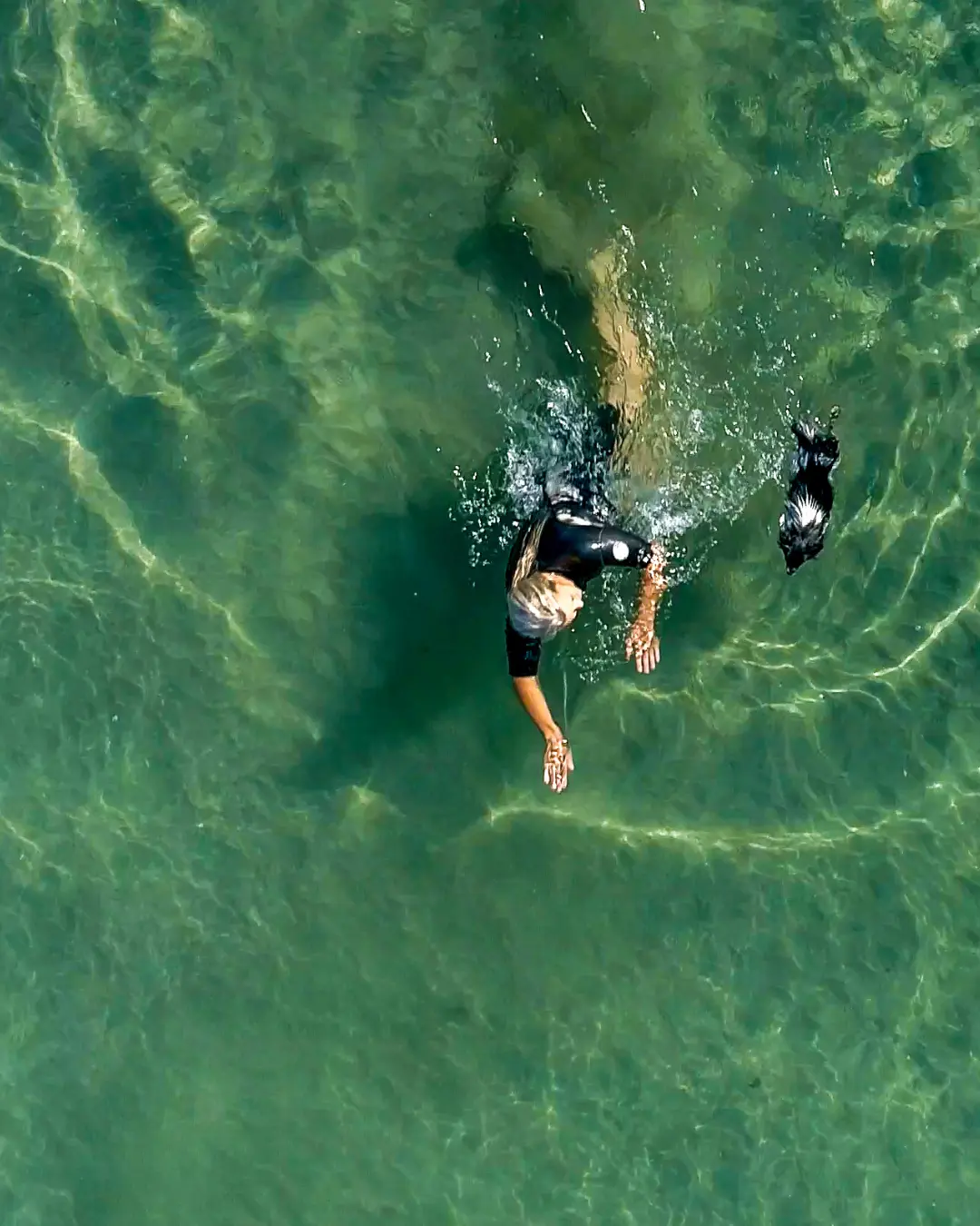 13 orbit social totally digital marketing | Totally Digital