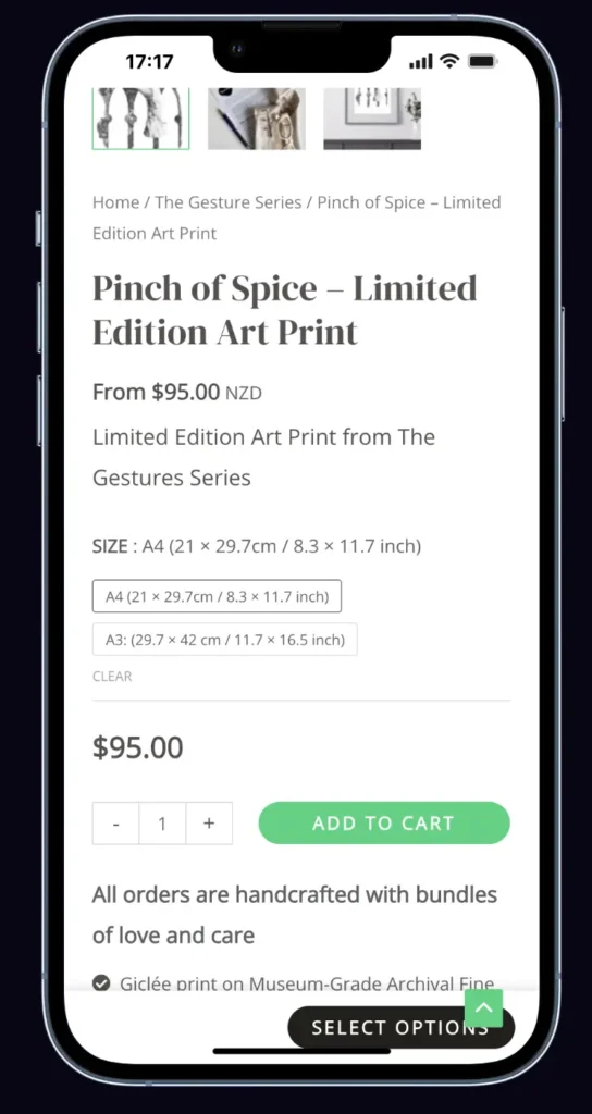 Wordpress WooCommerce website project presented on iphone screen by totally digital marketing - showing artists add to cart, shopping product and description page