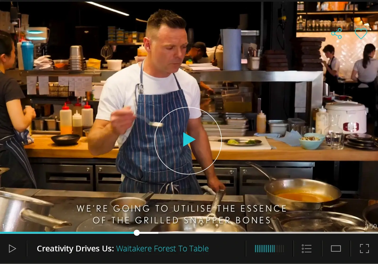 Video brand partner ugc auckland nz copy | Totally Digital