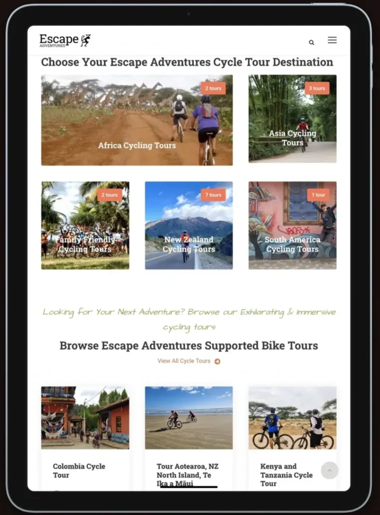 totally digital marketing agency Tourism website builder developer 800x1082 1 | Totally Digital