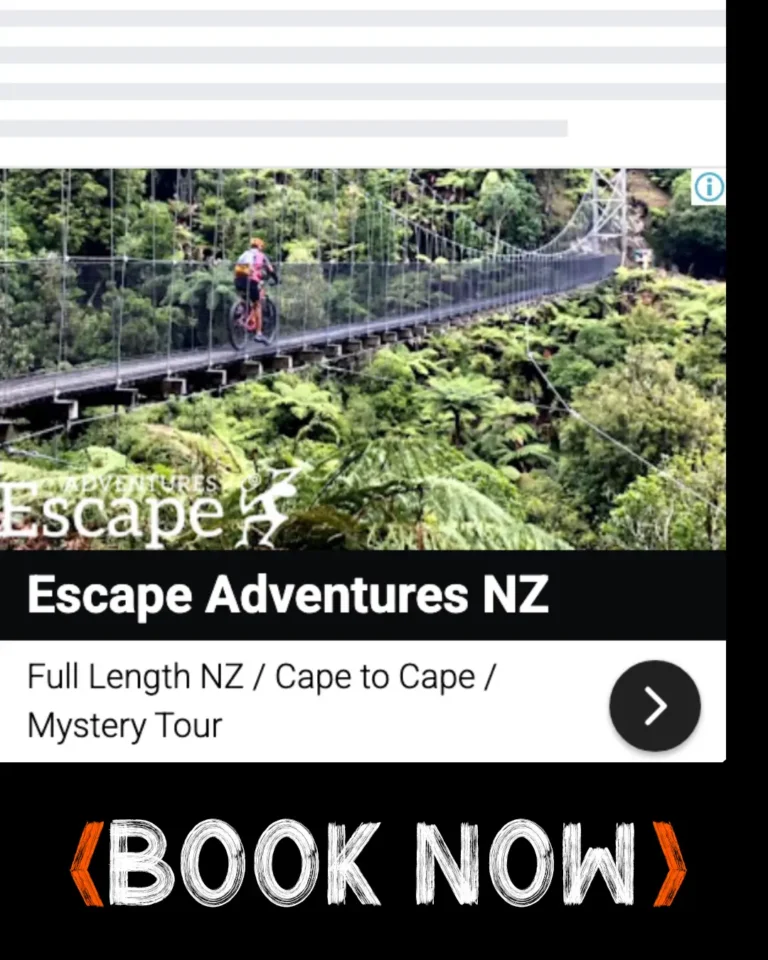 1 ads social media totally digital ppc agency nz 3 | Totally Digital Marketing Agency