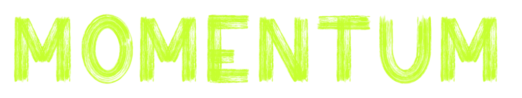 MOMENTUM | Totally Digital Marketing Agency